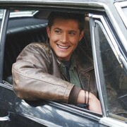 ���������� ���������, ������� �������, 41