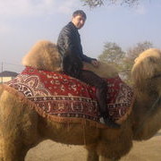  ,   Azamat, 37 ,   ,   , c 