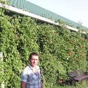 ���������� ����������, ���� ������� �������, 48 ���, ������������ 