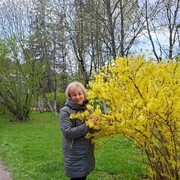  ,   , 58 ,     , c 