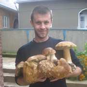  ,   , 47 ,   