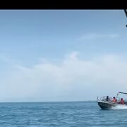 ���������� ������, ���� ������� �����, 45 ���, ������������ ��� c�������� ���������