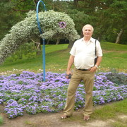  ,  kestas, 70