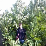  ,  , 35