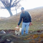  ,   , 44 ,     , c 