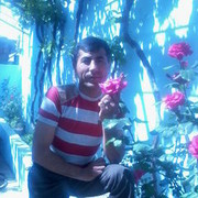 ���������� ����, ���� ������� Zaur, 45 ���, ������������ ��� ������, ����� � ���������, c�������� ���������