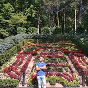  ,   , 36 ,   ,   , c 