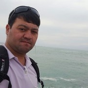  ,   Zorro sh, 31 ,   ,   , c 