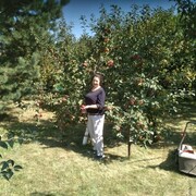 ���������� �������, ���� ������� �������, 74 ����, ������������ ��� ������, ����� � ���������, c�������� ���������