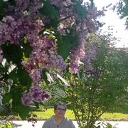  ,   , 53 ,   c 