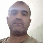   ,  , 49
