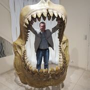 ���������� ������, ���� ������� ����, 35 ���, ������������ ��� ������, ����� � ���������