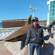  ,   , 43 ,   ,   