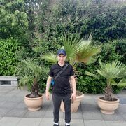  ,   , 40 ,   ,   