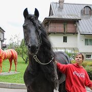 ���������� ������, ���� ������� �������, 34 ����, ������������ 