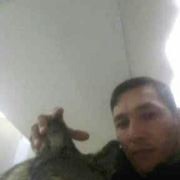  ,   , 43 ,   ,   , c , 