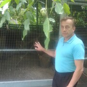 ���������� ������, ���� ������� ����, 101 ���, ������������ ��� ������, ����� � ���������, c�������� ���������