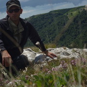 ���������� �����������, ���� ������� ���� �����, 48 ���, ������������ ��� ������, ����� � ���������, c�������� ���������