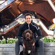 ���������� ������, ���� ������� Sash, 30 ���, ������������ ��� ������, ����� � ���������, c�������� ���������, ���������