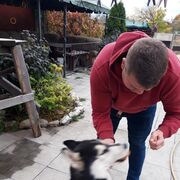 ���������� ������, ���� ������� ����������, 43 ����, ������������ ��� ������, ����� � ���������