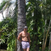 ���������� ������, ���� ������� ����, 43 ����, ������������ ��� ������, ����� � ���������, c�������� ���������