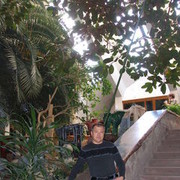 ���������� ���������, ���� ������� Basil, 64 ����, ������������ ��� ������