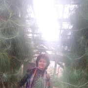  ,   , 62 ,  