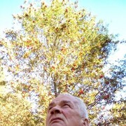 ���������� �����-���������, ���� ������� ��������, 69 ���, ������������ ��� ����� � ���������, c�������� ���������