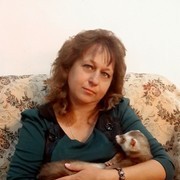 ���������� ����������� ����, ���� ������� ��������, 54 ����, ������������ ��� ������, ����� � ���������, c�������� ���������