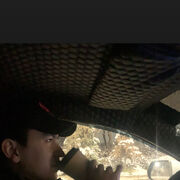 ���������� �������, ���� ������� ������, 31 ���, ������������ ��� ������, ����� � ���������, c�������� ���������, ���������