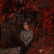 ���������� ������ ��������, ���� ������� ����, 48 ���, ������������ ��� ����� � ���������, c�������� ���������