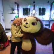  ,   , 51 ,   ,   , c , 