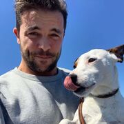 ���������� ���������, ���� ������� �����, 37 ���, ������������ ��� ����� � ���������, c�������� ���������