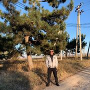 ���������� �����������, ���� ������� �������, 43 ����, ������������ ��� ������, ����� � ���������