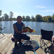 ���������� ����, ���� ������� ����, 38 ���, ������������ ��� c�������� ���������