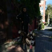 ���������� ������������, ���� ������� ��� �������, 38 ���, ������������ ��� ������, ����� � ���������, c�������� ���������