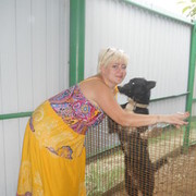 ���������� ����������, ���� ������� ��������, 43 ����, ������������ ��� ������, ���������