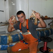 ���������� �������, ���� ������� San4elas, 40 ���, ������������ ��� ������, ����� � ���������, c�������� ���������