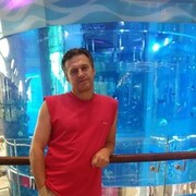 ���������� ������, ���� ������� ����, 55 ���, ������������ ��� ������, ����� � ���������, c�������� ���������