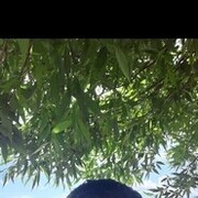 ���������� ������, ���� ������� �����, 47 ���, ������������ ��� ������, ����� � ���������, c�������� ���������