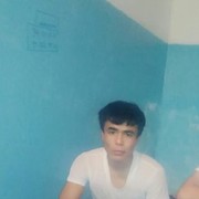  ,   Sevgibu, 31 ,   ,   , c 