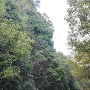  -,   , 45 ,     , c 