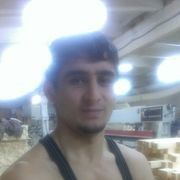  ,   SUNNAT, 36 ,     , c , 