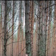  ,  , 22