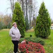  ,  , 59