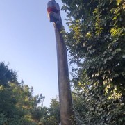  ,   , 43 ,     , c 