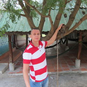 ���������� ������, ���� ������� ������, 38 ���, ������������ ��� ������, ����� � ���������, c�������� ���������