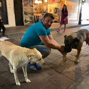 ���������� �����, ���� ������� ������, 46 ���, ������������ ��� ������, ����� � ���������