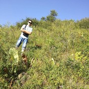 ���������� ������, ���� ������� ���, 27 ���, ������������ ��� ���������