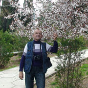  ,   , 65 ,   ,   